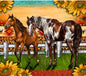 Horses {sunflowers}