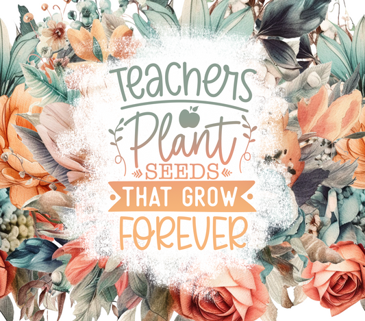 168 Teachers plant