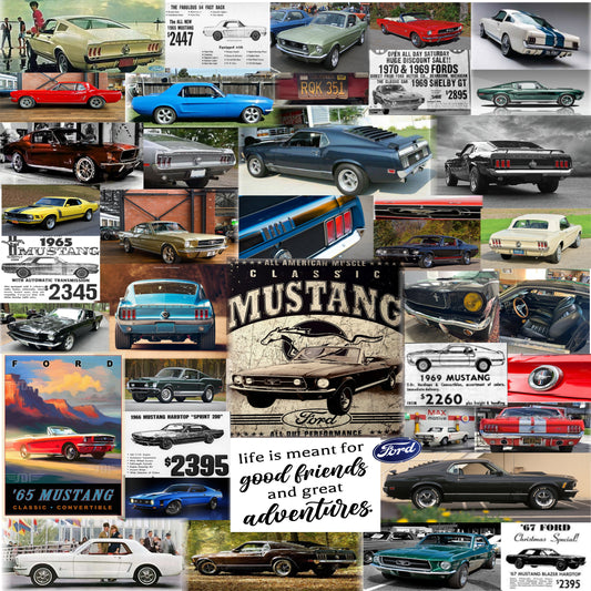 Mustangs