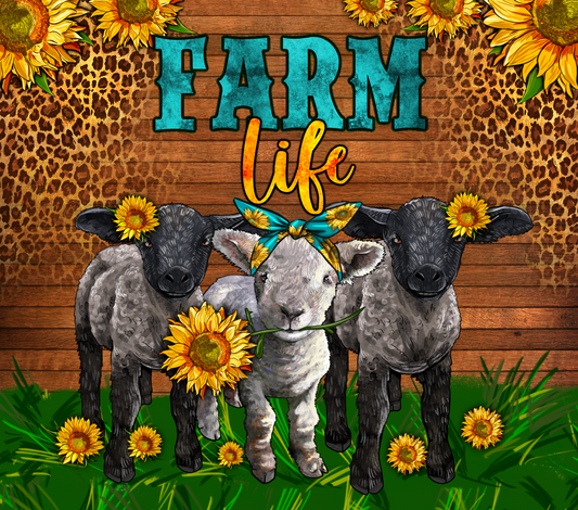 269 Farm life- goats