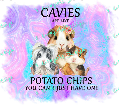 Cavies are like potato chips