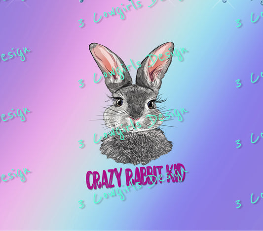 Crazy rabbit kid {Purple, Pink and Tuequoise}