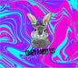 Crazy rabbit kid {hot pink, purple, turquoise}
